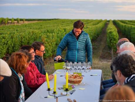 Dans les vignes au crépuscule