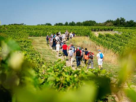 Randonnées Terroir de Vouvray