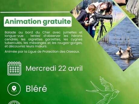 Visites nature au bord du Cher par la Ligue de Protection des Oiseaux