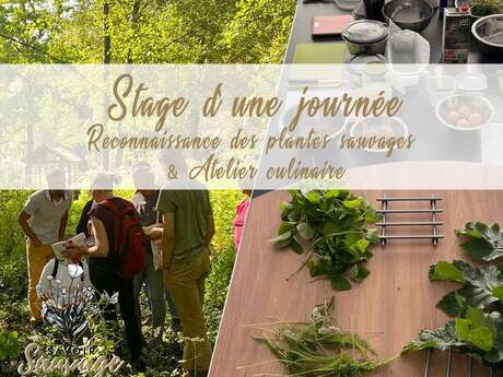 Balade et atelier culinaire