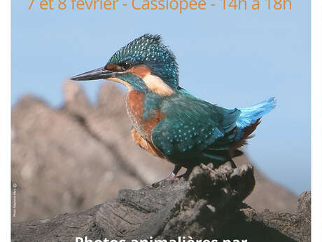 Rencontres photographiques