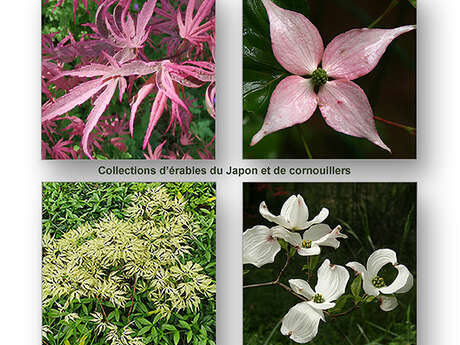 Ouverture de l'Arboretum de la Martinière