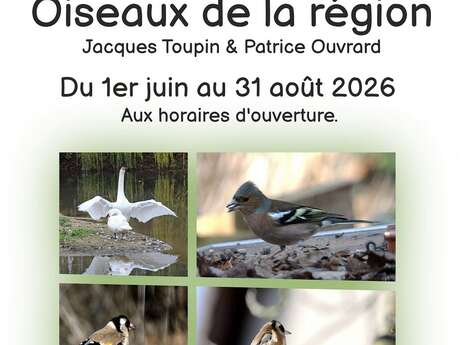 Exposition photographique "Oiseaux de la région"