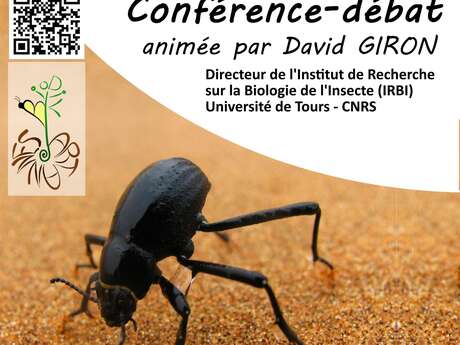 Conférence-débat "Les insectes, ces petits architectes du climat."