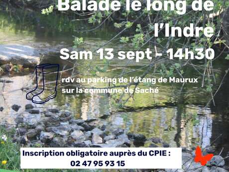Balade cours d'eau le long de l'Indre