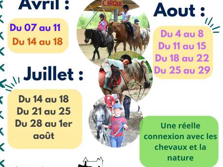 Stage d'équitation Touraine Cheval