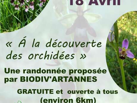 Randonnée proposée par BIODIV’Artannes, Samedi 18 avril avec un départ à 14 h de la prairie.