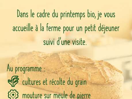 Petit déjeuner, dégustation et visite de ferme d'un paysan boulanger