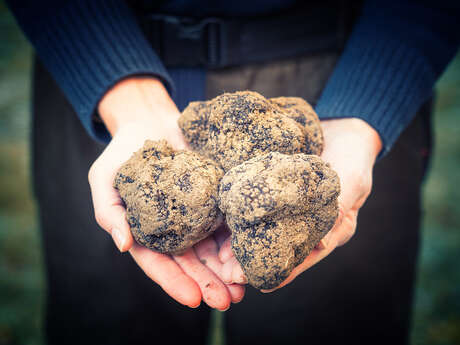 ACADEMIE DE LA TRUFFE