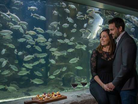 Saint Valentin à l'Aquarium de Touraine