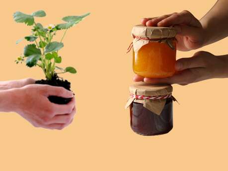 Troc' Bocaux & Plantes d'automne