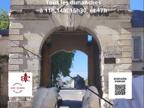 Visite de Richelieu en calèche