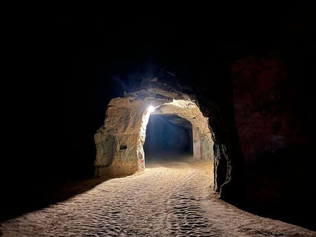 Visite-dégustation : Visite de cave troglodyte et vieux millésimes