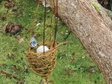 Atelier mangeoire végétale