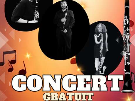 Animation veillée - concert