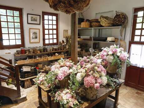 Nocturne au Château