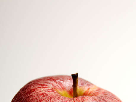 Atelier « Ma pomme »
