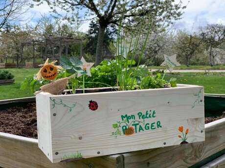 Atelier famille "Petits plants"