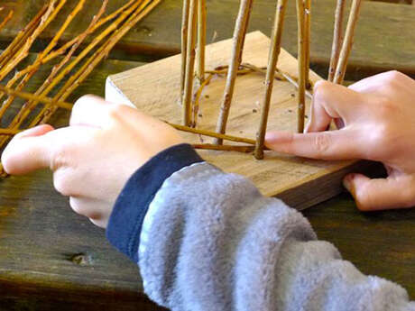 Un panier, comment ça pousse ? Avec Plume et Brin d’Osier