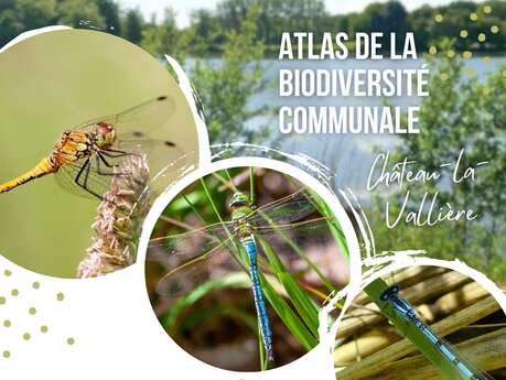 Atlas de la Biodiversité Communale