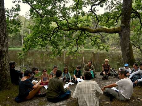Séjour immersion en forêt