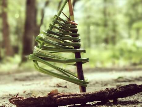 Nature et bout de ficelle