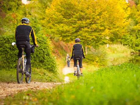 Entre forêt et château - Circuit vélo n°24
