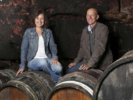 Domaine Sylvain Bruneau