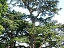 Parc du Château