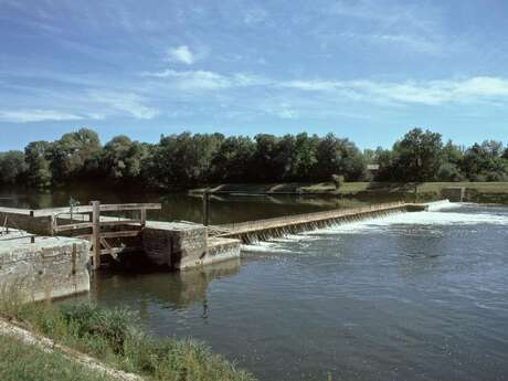 Jour de Cher 2026 - Visite éclair des bords du Cher à Chisseaux