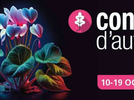 Concerts d'Automne