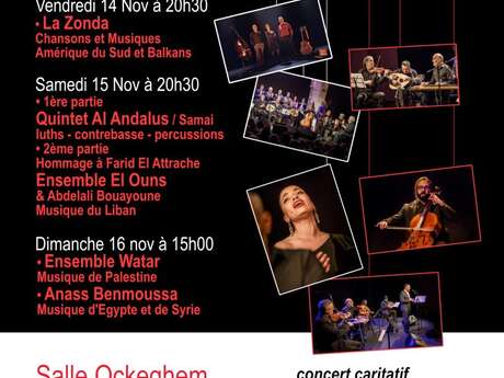 Festival International des cordes pincées