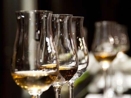 Apéro-concert au Domaine du Breuil