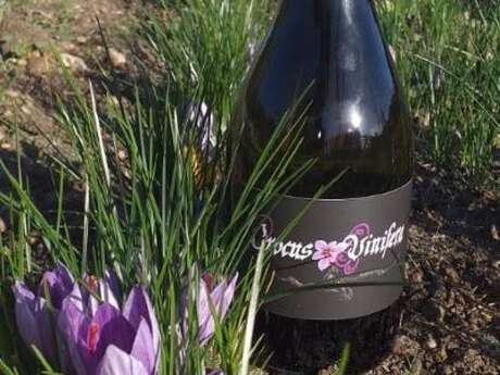 Patrimoine et savoir-faire : Montlouis-sur Loire et Du safran et des vignes