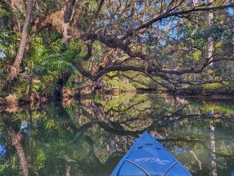 Balade nature en kayak