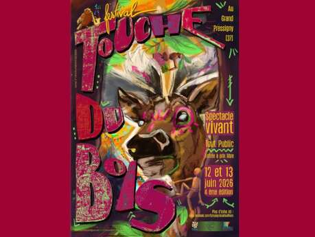 Festival Touche du Bois