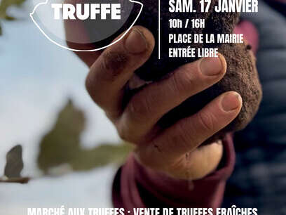 Fête de la Truffe