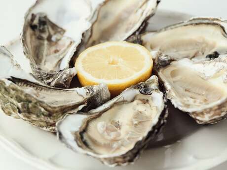 Dégustation d'huîtres