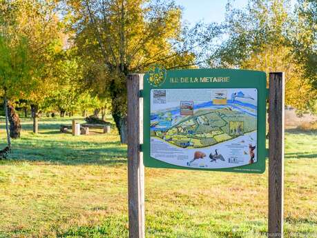 Sentiers de l’Ile de la Métairie – sentier de la forêt