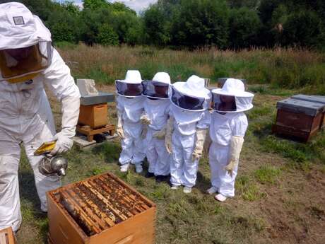 Atelier famille "Apiculture"