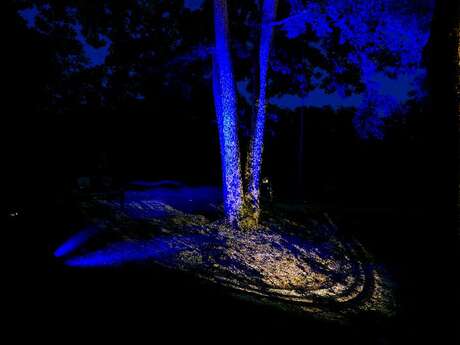 La Forêt vous murmure