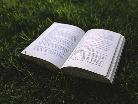 Grande foire aux livres