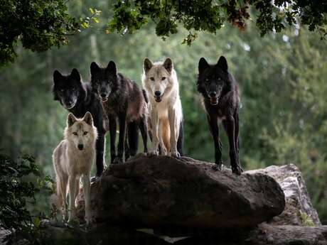 Réserve zoologique de la Haute-Touche