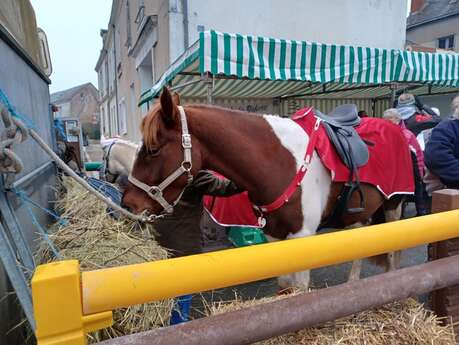 MARCHÉ DE NOEL