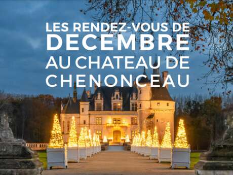 Visite inédite de Noël