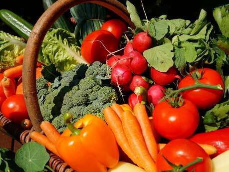 Marché de Saint-Nicolas-de-Bourgueil