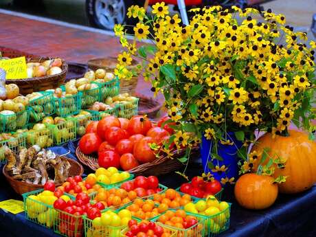 Marché de Savigné sur Lathan