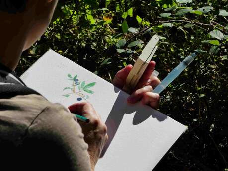 Initiation aquarelle au printemps