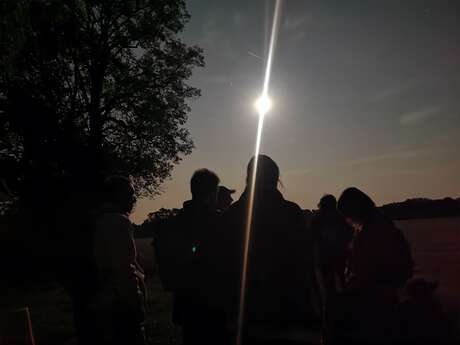 Balade au crépuscule