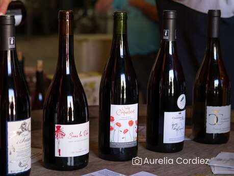 Dégustation des cuvées du domaine